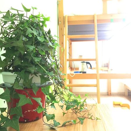 Weihai Hiking International Hostel 외부 사진