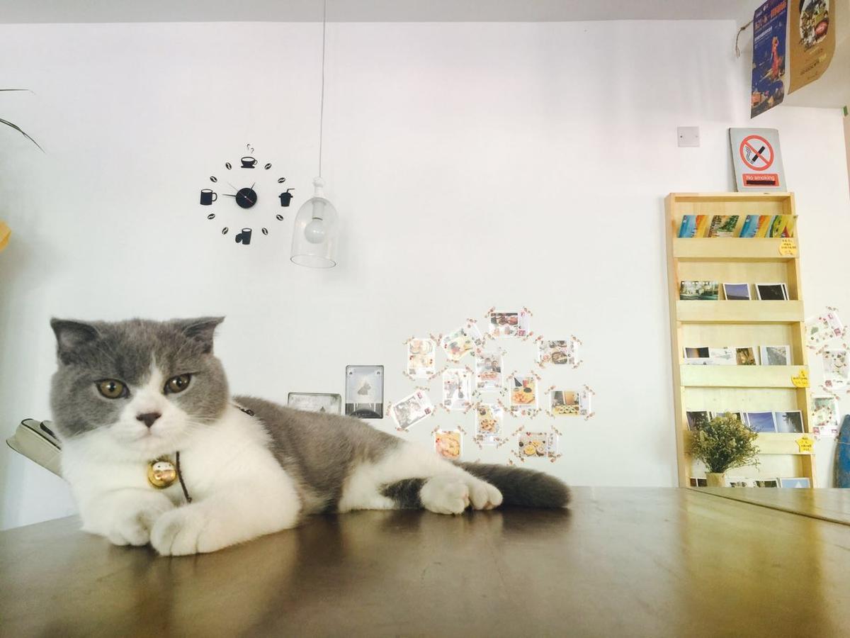 Weihai Hiking International Hostel 외부 사진