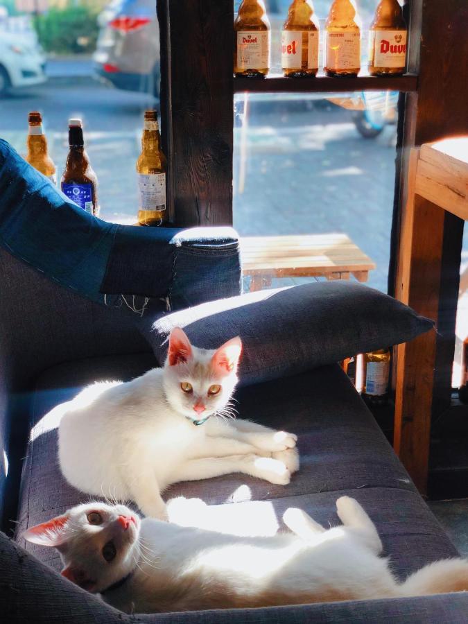Weihai Hiking International Hostel 외부 사진